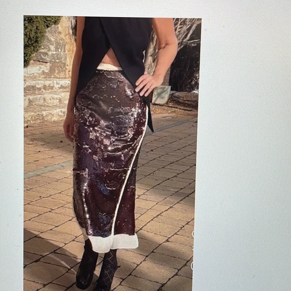 Zara sequin silk trim midi skirt - Picture 5 of 8